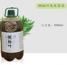 雪莱昵 侧柏叶洗发原浆 5000ml