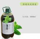 雪莱昵 薄荷洗发原浆 5000ml