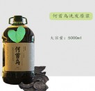 雪莱昵 何首乌洗发原浆 5000ml